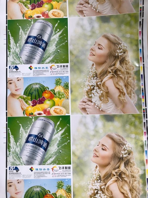 Maszyna do druku flexo o prędkości 240 m/min z serwo napędem wielobarwnym i ceramiczną rolką aniloxową