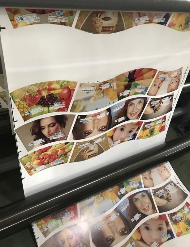 Wielokolorowe automatyczne rejestracje kubki PE Flexo drukarka z zamówieniem na zamówienie