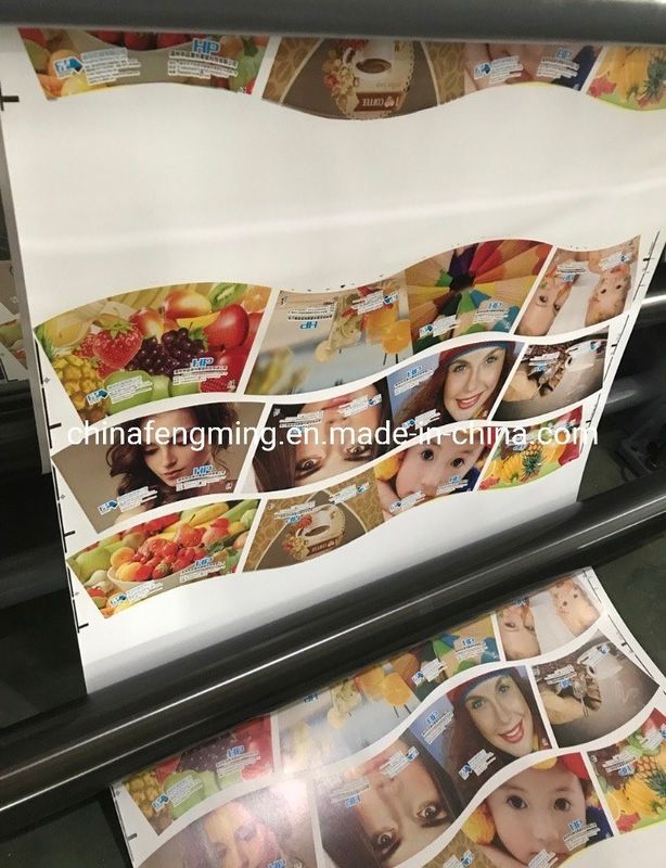 Maksymalna szerokość sieci 920/1020/1220 mm FM-B 920-1850 Flexograficzna drukarka do papierowych kubków