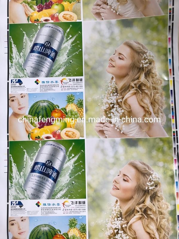 Prędkość druku 200 m/min Maszyna do druku Flexo do 8 kolorów