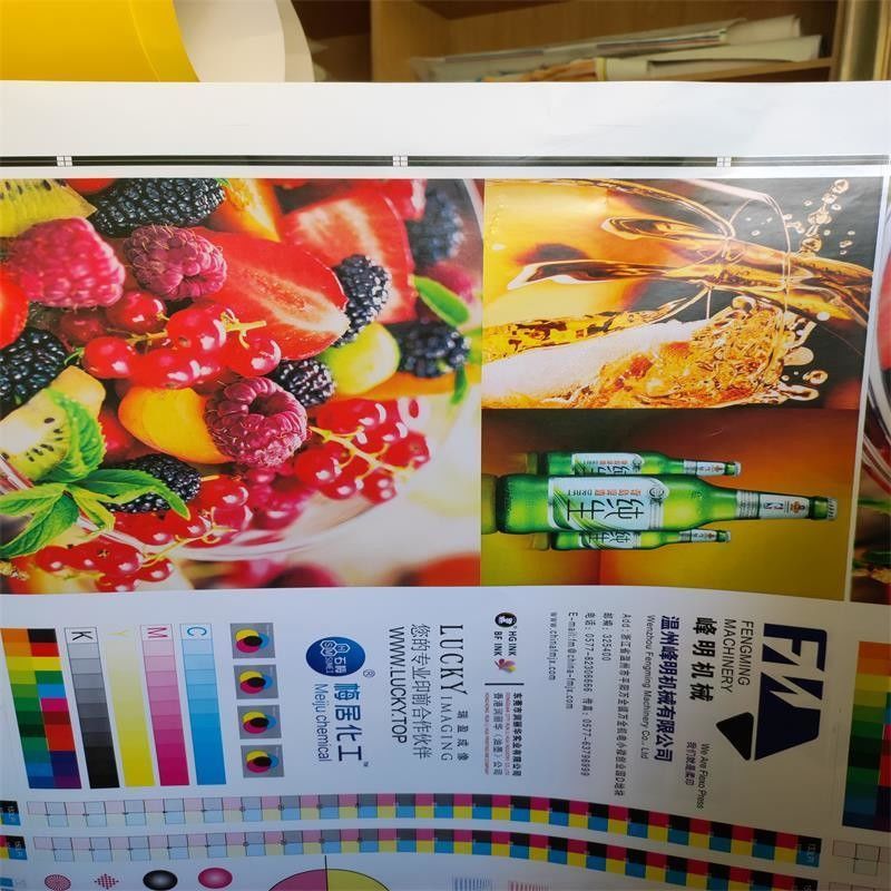 Specjalistyczne żądanie Wysokiej prędkości 6 kolorowej jednostki typu Flexo drukarka do rolki papieru