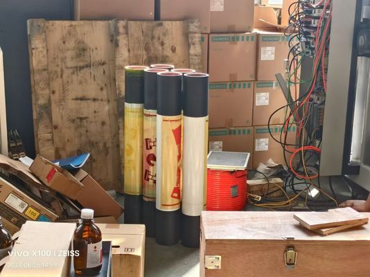 Automatyczna drukarka fleksograficzna, z przodu 9 kolorów z tyłu 1 kolor Flexo Label Flexograficzna drukarka Prensa drukarska